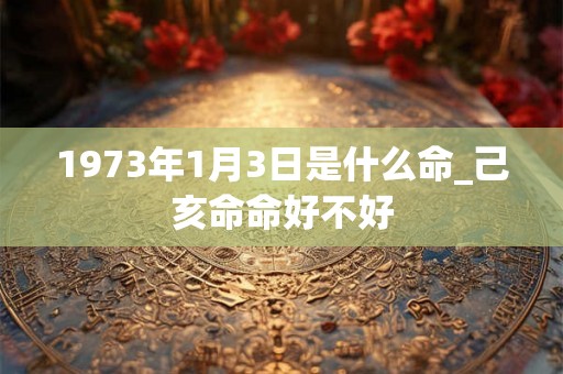 1973年1月3日是什么命_己亥命命好不好