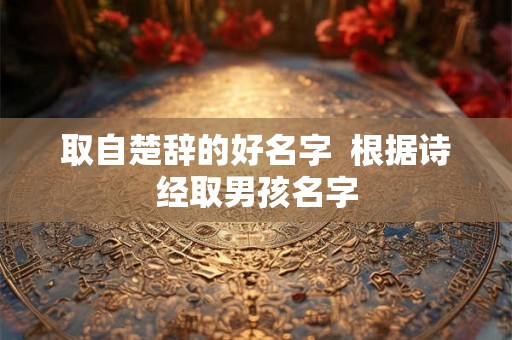 取自楚辞的好名字  根据诗经取男孩名字