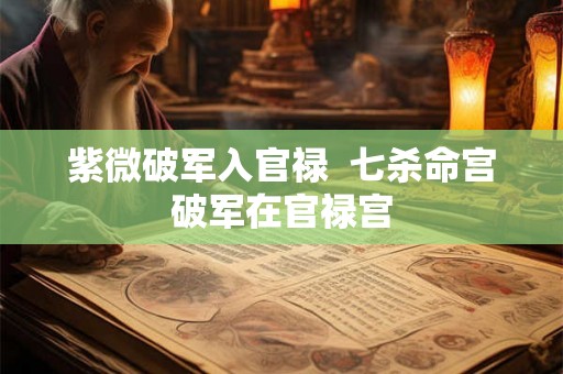 紫微破军入官禄  七杀命宫破军在官禄宫