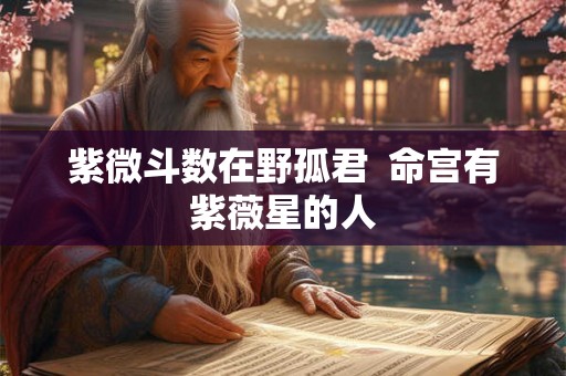 紫微斗数在野孤君  命宫有紫薇星的人