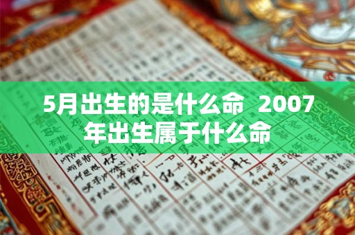 5月出生的是什么命  2007年出生属于什么命