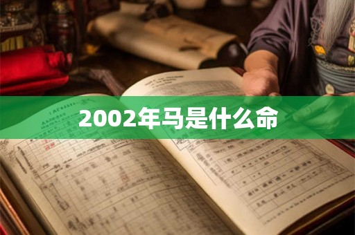 2002年马是什么命