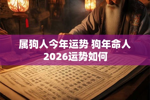 属狗人今年运势 狗年命人2026运势如何 属狗人今年运势 狗年命人2026运势如何