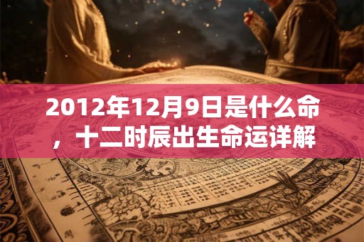 2012年12月9日是什么命，十二时辰出生命运详解