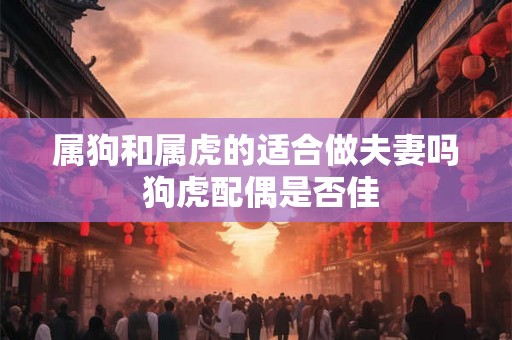 属狗和属虎的适合做夫妻吗 狗虎配偶是否佳