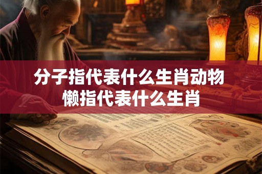 分子指代表什么生肖动物 懒指代表什么生肖 分子指代表什么生肖动物 懒指代表什么生肖