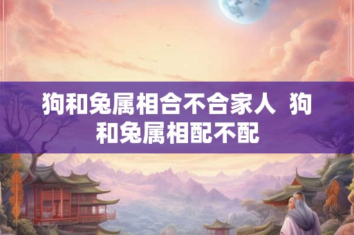 狗和兔属相合不合家人 狗和兔属相配不配 狗和兔属相合不合家人 狗和兔属相配不配
