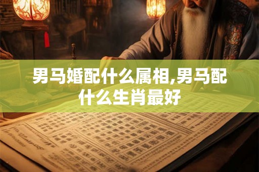 男马婚配什么属相,男马配什么生肖最好 男马婚配什么属相,男马配什么生肖最好