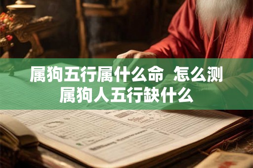 属狗五行属什么命 怎么测属狗人五行缺什么 属狗五行属什么命 怎么测属狗人五行缺什么