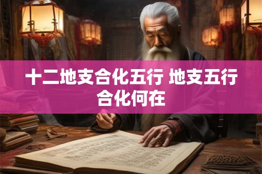 十二地支合化五行 地支五行合化何在