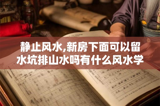 静止风水,新房下面可以留水坑排山水吗有什么风水学吗