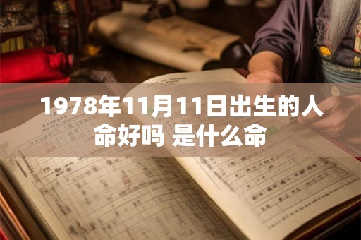 1978年11月11日出生的人命好吗 是什么命