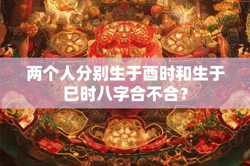 两个人分别生于酉时和生于巳时八字合不合？