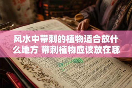 风水中带刺的植物适合放什么地方 带刺植物应该放在哪里