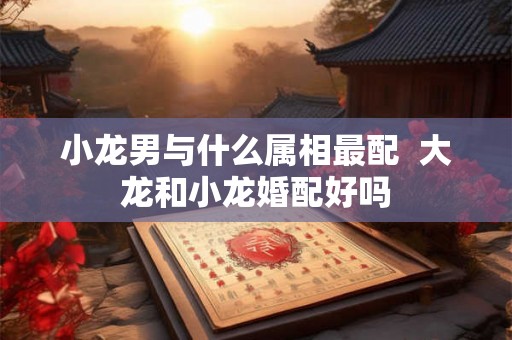 小龙男与什么属相最配  大龙和小龙婚配好吗