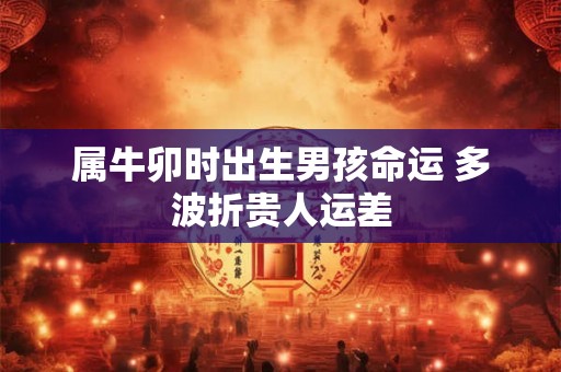 属牛卯时出生男孩命运 多波折贵人运差