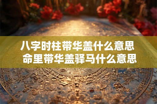 八字时柱带华盖什么意思  命里带华盖驿马什么意思
