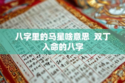 八字里的马星啥意思  双丁入命的八字