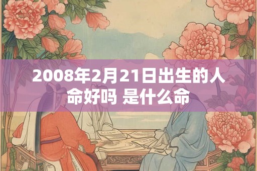 2008年2月21日出生的人命好吗 是什么命