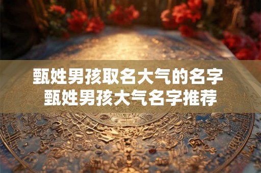 甄姓男孩取名大气的名字 甄姓男孩大气名字推荐