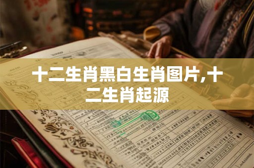 十二生肖黑白生肖图片,十二生肖起源