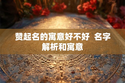 赞起名的寓意好不好  名字解析和寓意