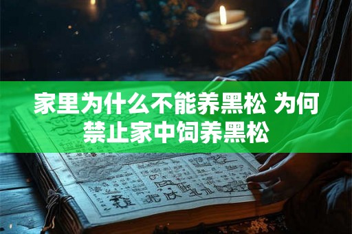 家里为什么不能养黑松 为何禁止家中饲养黑松 家里为什么不能养黑松 为何禁止家中饲养黑松