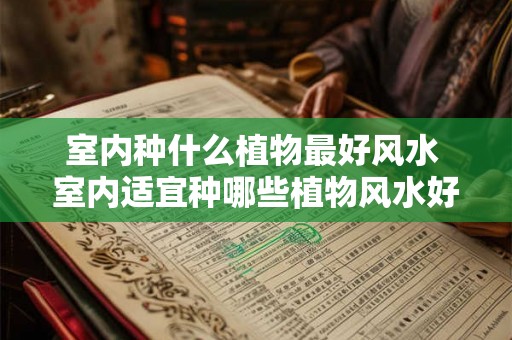 室内种什么植物最好风水 室内适宜种哪些植物风水好
