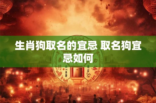 生肖狗取名的宜忌 取名狗宜忌如何