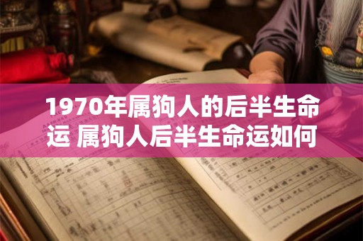 1970年属狗人的后半生命运 属狗人后半生命运如何