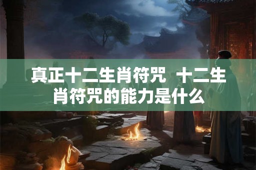 真正十二生肖符咒  十二生肖符咒的能力是什么