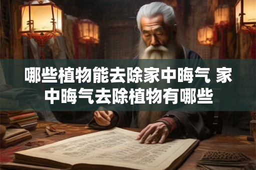 哪些植物能去除家中晦气 家中晦气去除植物有哪些