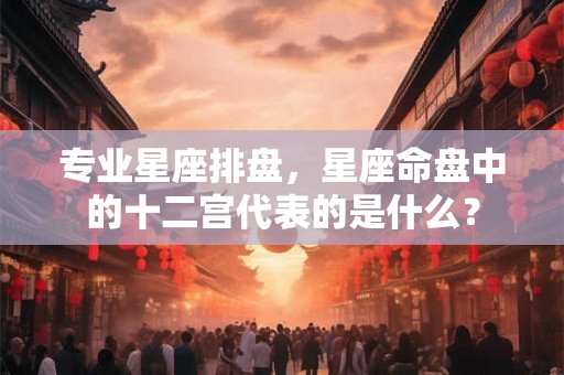 专业星座排盘，星座命盘中的十二宫代表的是什么？
