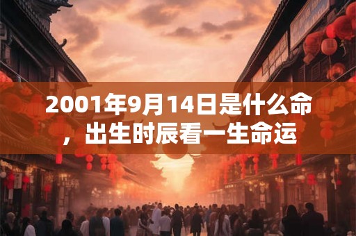 2001年9月14日是什么命，出生时辰看一生命运