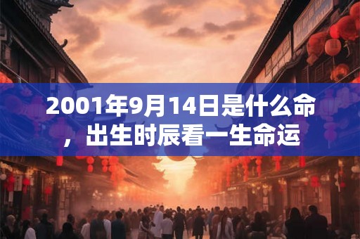 2001年9月14日是什么命，出生时辰看一生命运