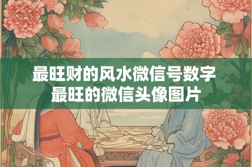 最旺财的风水微信号数字 最旺的微信头像图片
