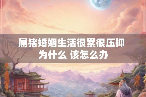 属猪婚姻生活很累很压抑 为什么 该怎么办
