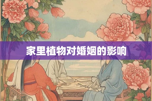 家里植物对婚姻的影响