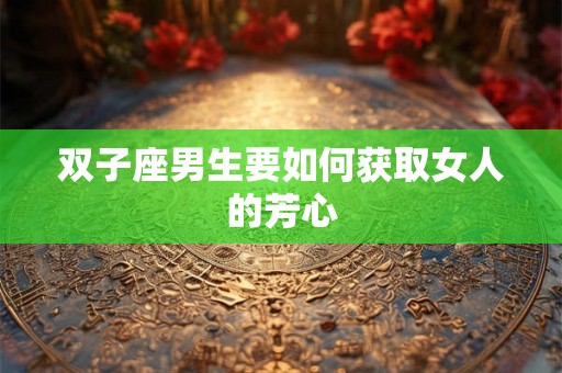 双子座男生要如何获取女人的芳心