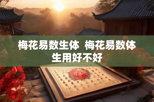 梅花易数生体  梅花易数体生用好不好