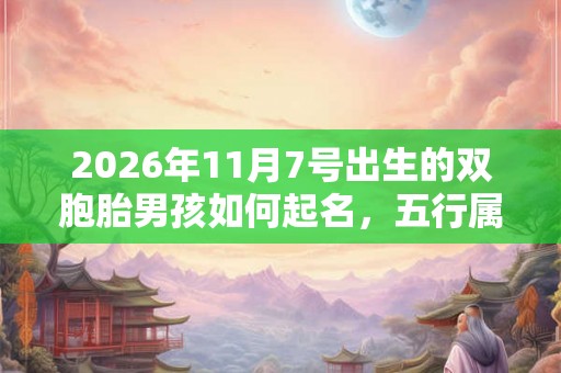 2026年11月7号出生的双胞胎男孩如何起名，五行属什么