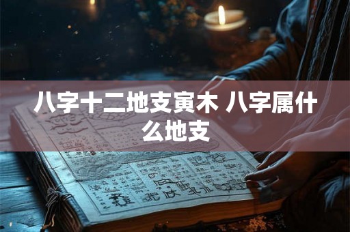 八字十二地支寅木 八字属什么地支