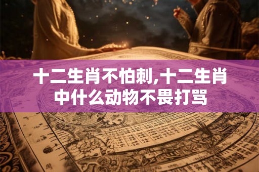 十二生肖不怕刺,十二生肖中什么动物不畏打骂 十二生肖不怕刺,十二生肖中什么动物不畏打骂