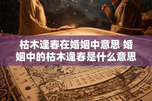 枯木逢春在婚姻中意思 婚姻中的枯木逢春是什么意思
