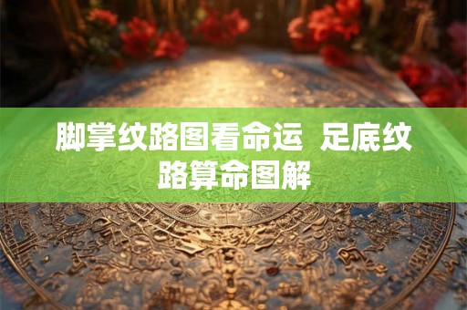脚掌纹路图看命运  足底纹路算命图解