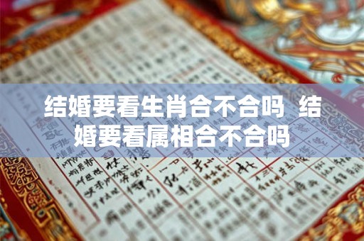 结婚要看生肖合不合吗 结婚要看属相合不合吗 结婚要看生肖合不合吗 结婚要看属相合不合吗