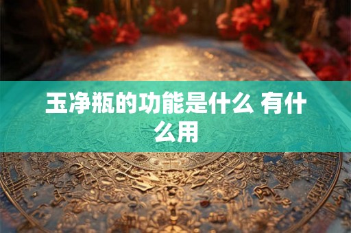 玉净瓶的功能是什么 有什么用