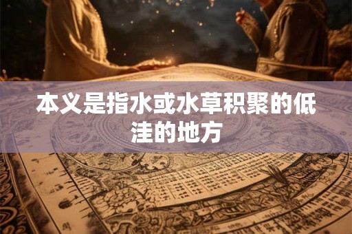 本义是指水或水草积聚的低洼的地方 本义是指水或水草积聚的低洼的地方