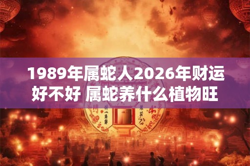 1989年属蛇人2026年财运好不好 属蛇养什么植物旺财