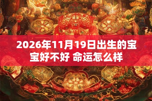2026年11月19日出生的宝宝好不好 命运怎么样